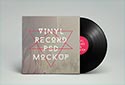 Vinyl Record